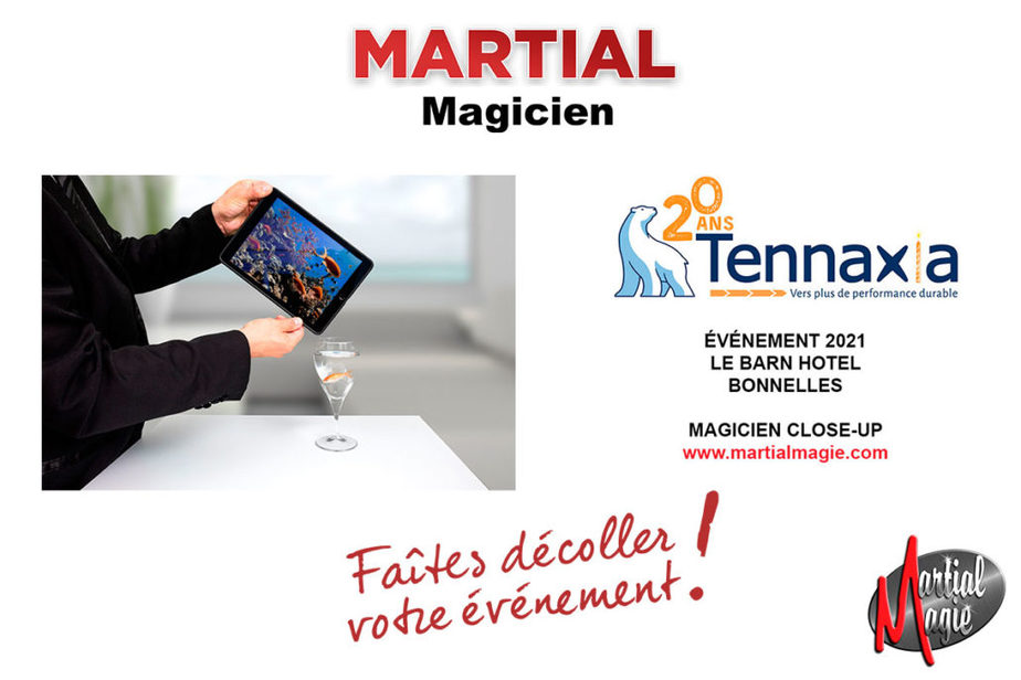 Magicien mentaliste