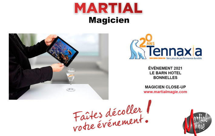 Magicien mentaliste